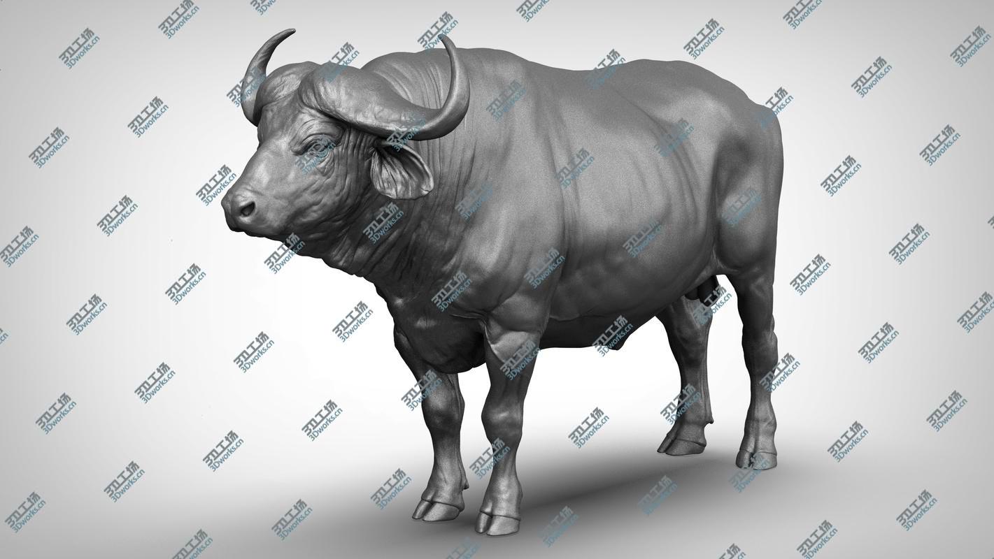 images/goods_img/20210319/3D African  buffalo - Black Cape model/4.jpg